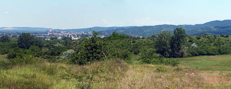 P1290394 (2).jpg